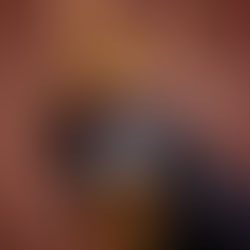 Adidas aposta no estilo pet e lança nova coleção de inverno para cães e gatos