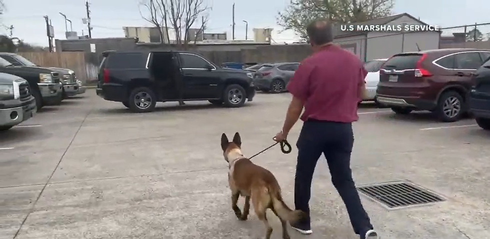 Rocky é liberado do hospital após ser baleado 2 vezes por suspeito na morte de delegado
