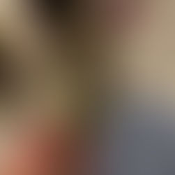 Assado por negligência: buldogue sofre queimaduras graves após ser esquecido em secadora de pet shop na Barra