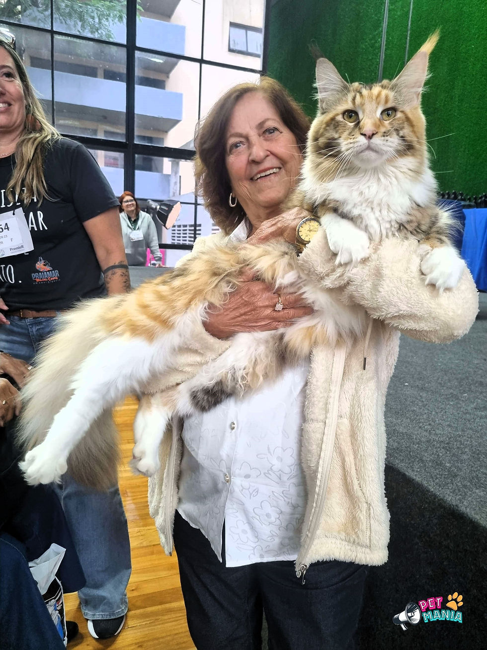 Uma idosa sorridente de cabelos castanhos e casaco felpudo bege segura orgulhosamente no colo um gato gigante da raça Maine Coon em uma exposição de felinos. O animal, que possui pelagem longa em tons de escama de tartaruga com branco, tufos característicos nas pontas das orelhas e grandes patas brancas, olha diretamente para a câmera com postura imponente. À esquerda, uma mulher vestindo camiseta preta com estampas é parcialmente visível, enquanto o plano de fundo revela uma parede texturizada verde-escura.