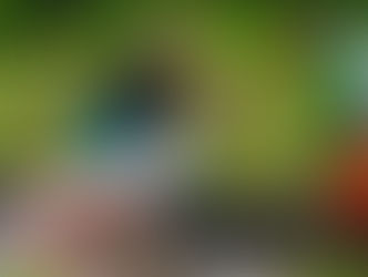 A pesca tá liberada! Ibama classifica pirarucu como espécie invasora e libera pesca sem limites fora da Amazônia