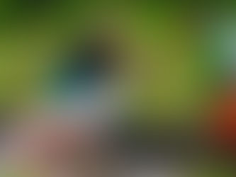 A pesca tá liberada! Ibama classifica pirarucu como espécie invasora e libera pesca sem limites fora da Amazônia