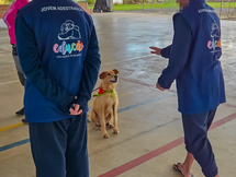 Adolescentes transformam vidas ao adestrar cães resgatados que esperam por uma nova família