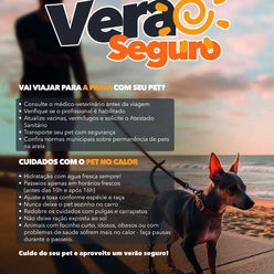 Campanha “Verão Seguro” do CRMV-PR alerta para os riscos do calor excessivo e reforça cuidados com a saúde dos pets