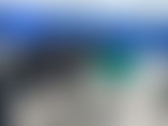 Cão atingido por bala perdida em megaoperação no Rio de Janeiro recebe alta após cirurgia