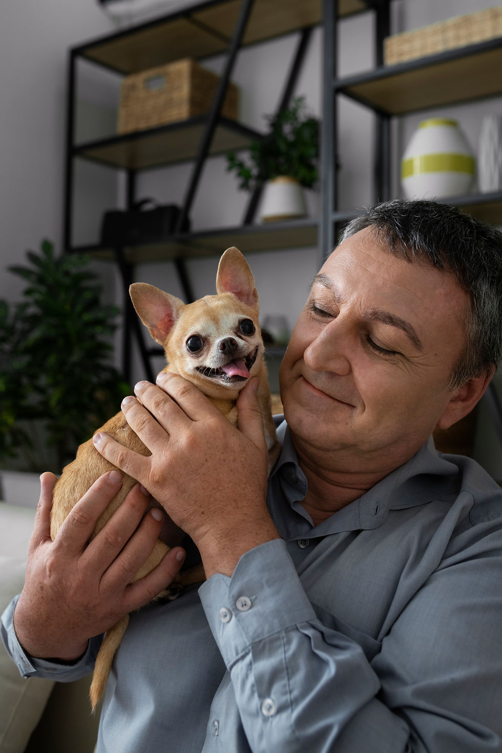 Um homem de meia-idade com cabelos grisalhos e camisa social cinza aparece sorrindo afetuosamente enquanto segura um pequeno cachorro da raça Chihuahua no colo. O cãozinho, de pelagem caramelo-clara e grandes orelhas erguidas, está com a boca aberta exibindo a língua para fora em uma expressão alegre e dócil. O homem apoia o animal firmemente com as duas mãos contra o peito, enquanto o observa com um semblante carinhoso. Ao fundo e ligeiramente desfocada, está uma estante de estilo industrial com estrutura metálica preta e prateleiras de madeira decoradas com vasos de plantas e caixas organizadoras.