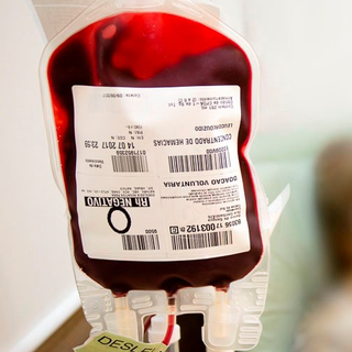Bessa propõe criação de banco de sangue veterinário