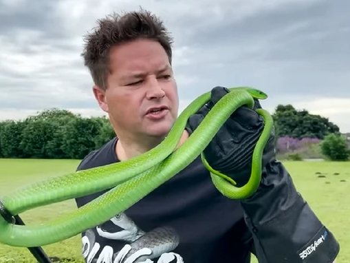 Youtuber morre após picada de cobra venenosa durante gravação