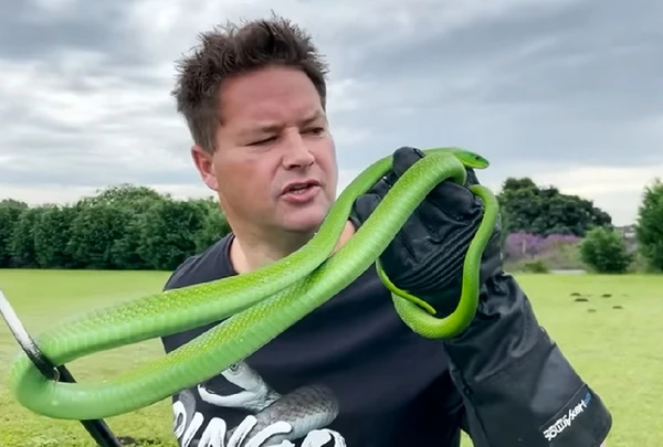 Youtuber morre após picada de cobra venenosa durante gravação