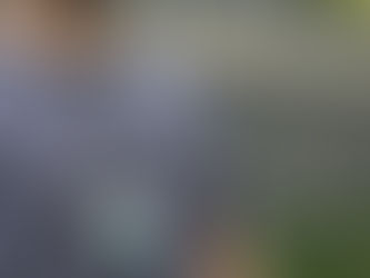 Polícia Civil prende homem que possuía esquema de corrupção em hospital veterinário na Zona Norte