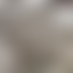 Cão de 5 mil anos é encontrado ao lado de adaga e revela possível ritual pré-histórico