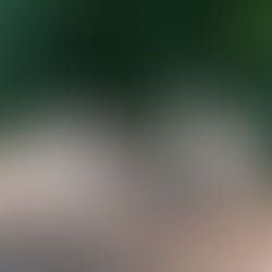 Os 10 animais mais raros do planeta que você provavelmente nunca viu