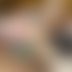 Idoso que deixava animais com fome para que os cães praticassem canibalismo entre eles é preso em MG