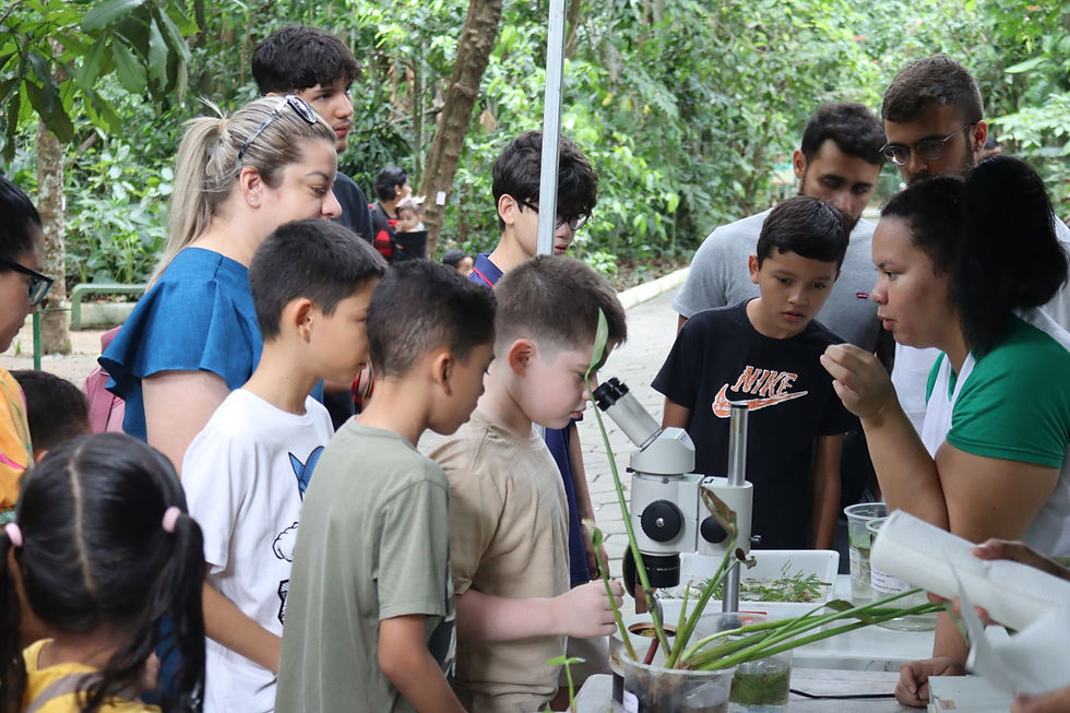 Foto: Igor Souza - Ascom/ Inpa