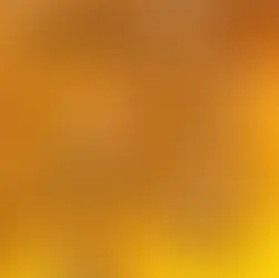 enxame de abelhas na colméia