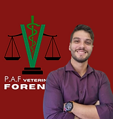 Design sem nome (3).png