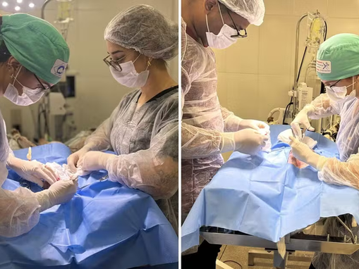 Gato é baleado com chumbinho em Goiânia e passa por cirurgia de emergência