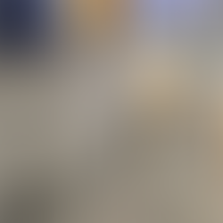 Após recusas da TAP, cão de apoio de menina autista finalmente viajará para Portugal