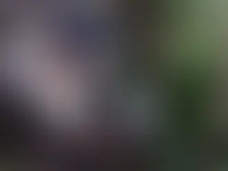 Imune ao Veneno Mortal: O Segredo do Gambá Contra Escorpiões Revelado!