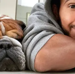 Lewis Hamilton anuncia morte de Roscoe: "Um anjo e verdadeiro companheiro"