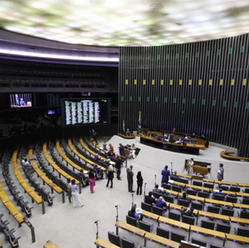 Câmara aprova projeto que cria política de proteção a animais afetados por desastres