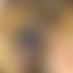 Conheça Hulk, o cão farejador da PMERJ que virou destaque nacional
