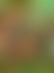 Recognizing Power Raking: Benefits and Methods