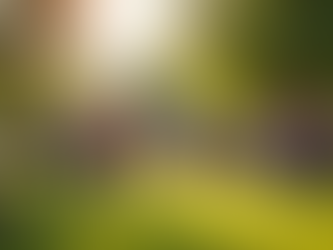 Building Authentic Connections: A Comprehensive Guide to Engaging Your Target Audience Online