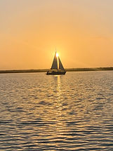 IMG_8047.jpeg