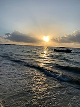 IMG_4226.jpeg