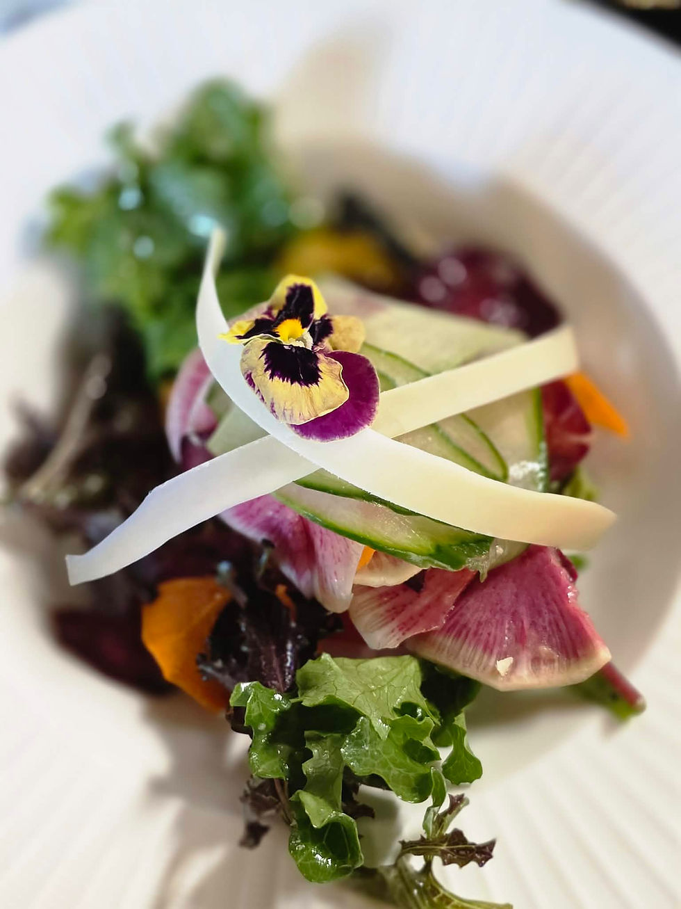 Summer Salad