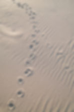 kaboompics_serenity-by-the-sea-coastal-landscapes-and-beach-textures-36114.jpg
