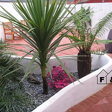 design1.jpg