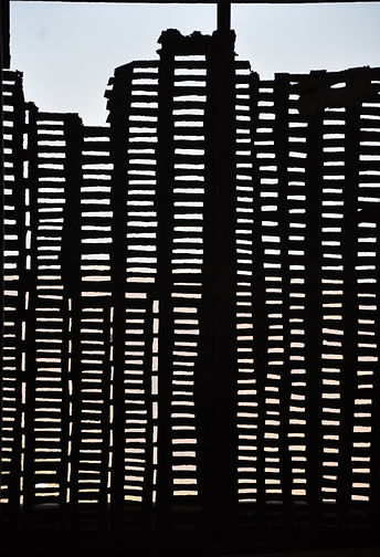 DSC_0511.jpeg