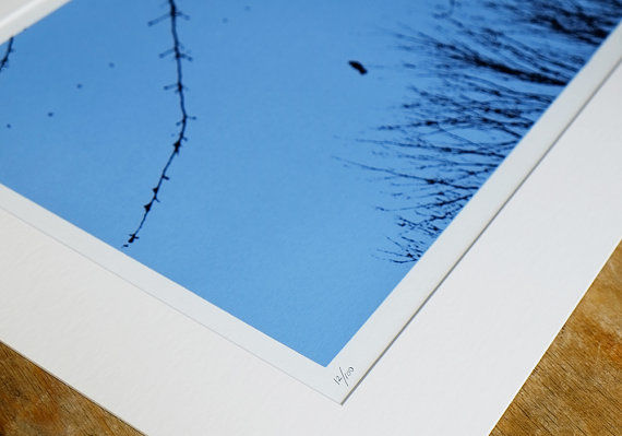 Thumbnail: FREE AS A BIRD (BLUE)
