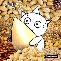 03_커버_트리케라톱스_가평잣.png