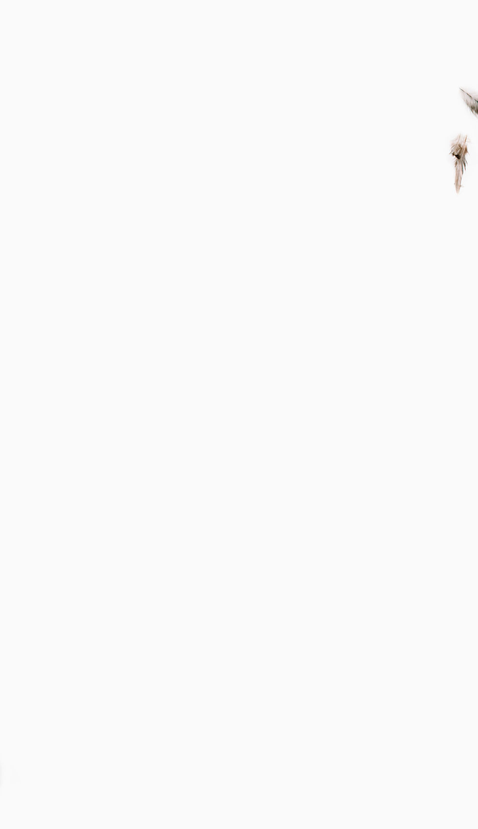 Banner_1519x1700_Sacerdocio.jpg