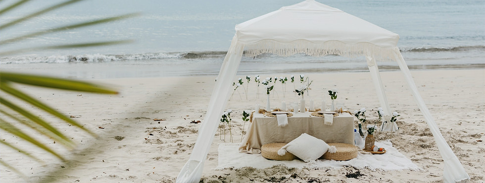 Chelseywilliamsphotography-7327_edited_e