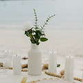 Chelseywilliamsphotography-7315.JPEG