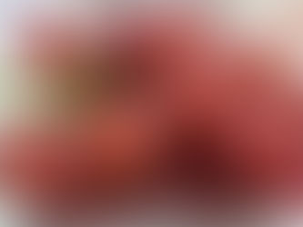 ブドウいただく