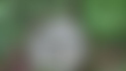 Zurück ins Sonnenlicht