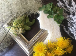 5月、緑の季節に。