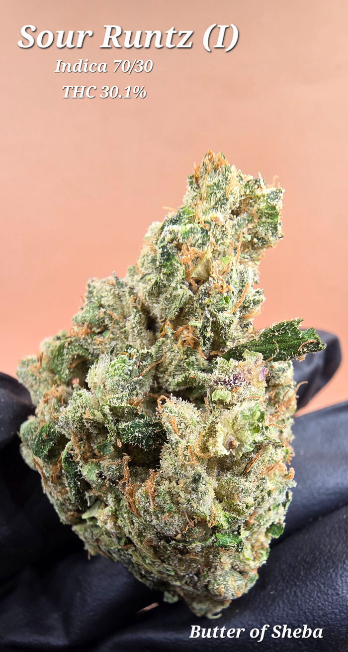 Flower: Sour Runtz (I)