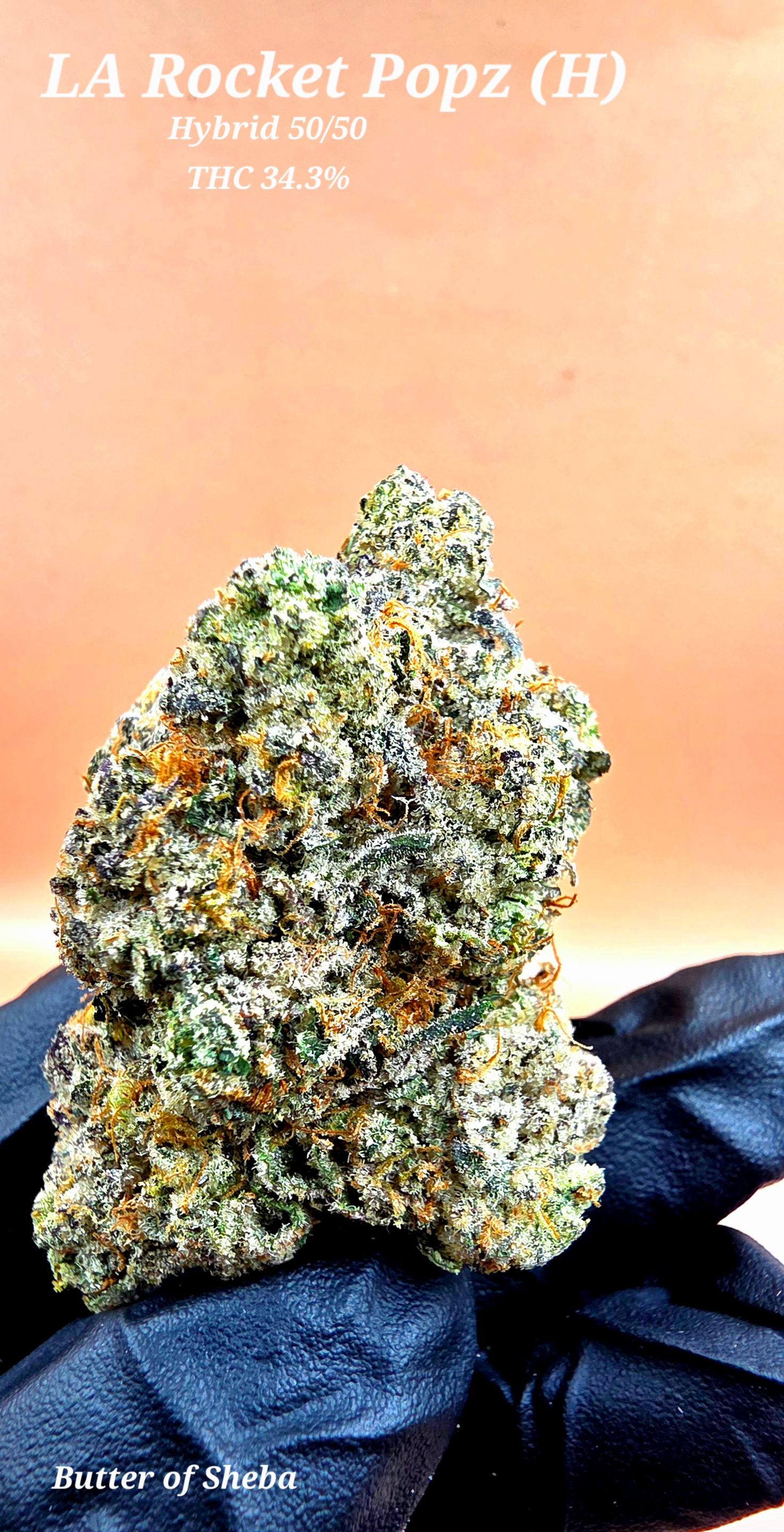 Flower: LA Rocket Popz (H)