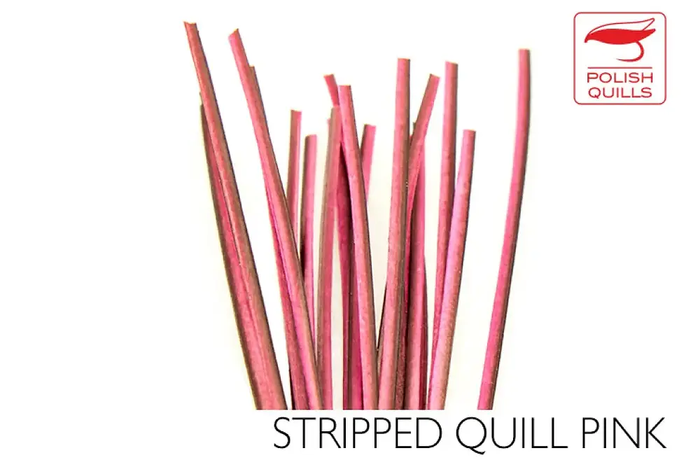 Thumbnail: Polish Quills Hand Stripped Peacock Quills


