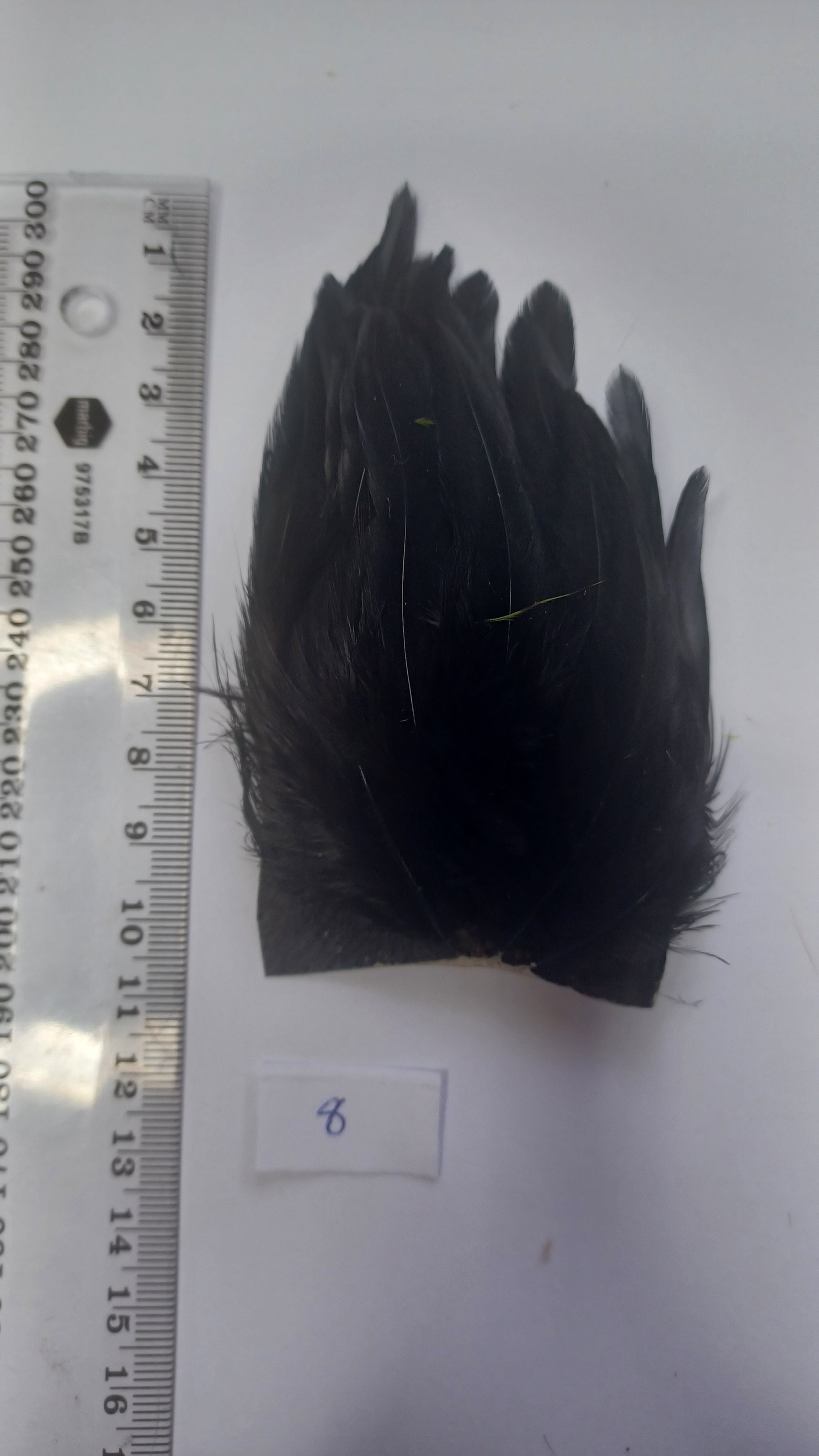 genetic hackle patch 8