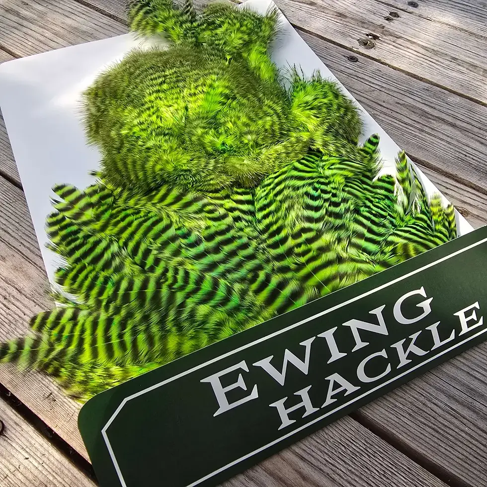 Thumbnail: Ewing marabou skins