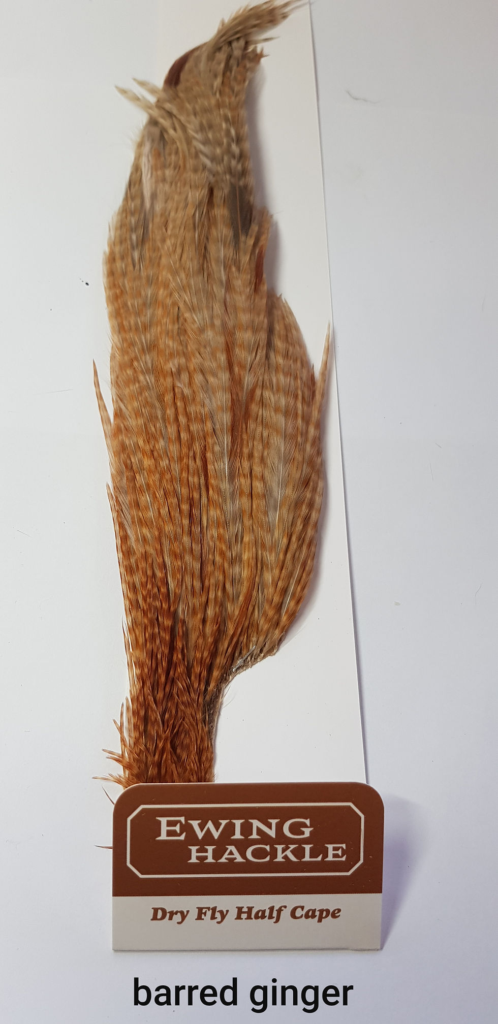 Thumbnail: Ewing hackle - 1/2 dry fly capes