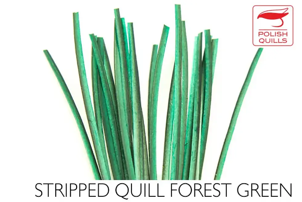 Thumbnail: Polish Quills Hand Stripped Peacock Quills

