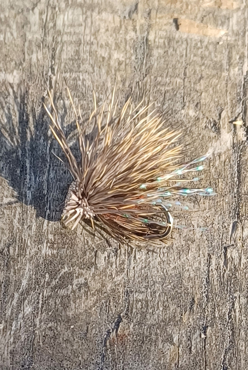 Thumbnail: Sedge/caddis dries kit